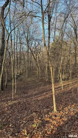 a view of backyard with green space