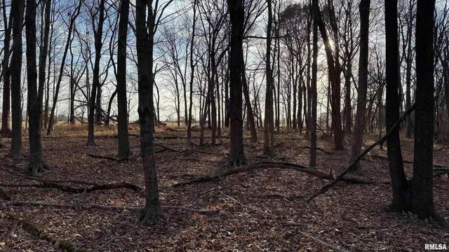 a backyard of a house