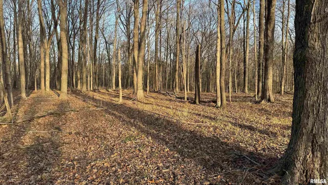 a view of outdoor space