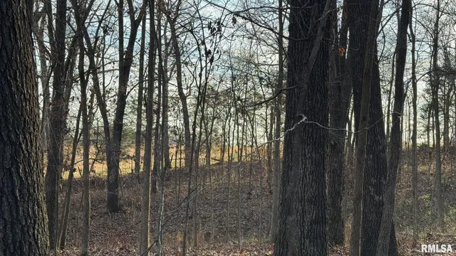 $390,000 | 0 Route 166 Creal Springs, Creal Springs, IL 62922