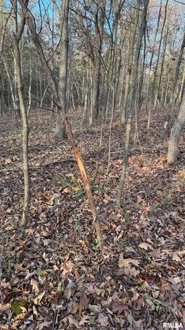 $390,000 | 0 Route 166 Creal Springs, Creal Springs, IL 62922