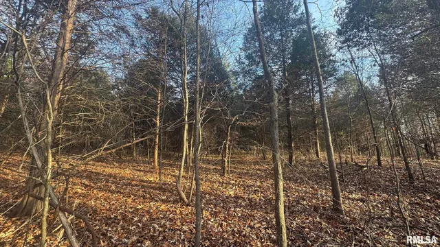 $390,000 | 0 Route 166 Creal Springs, Creal Springs, IL 62922