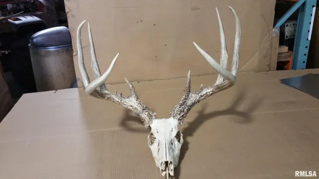 a view of a wooden deck with a yard