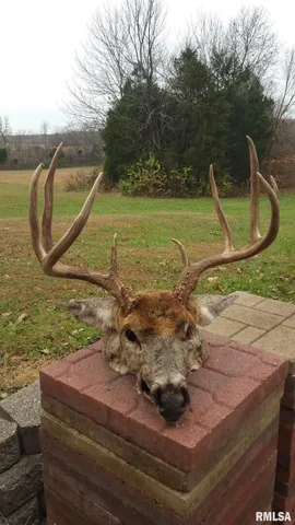 a view of yard from deck
