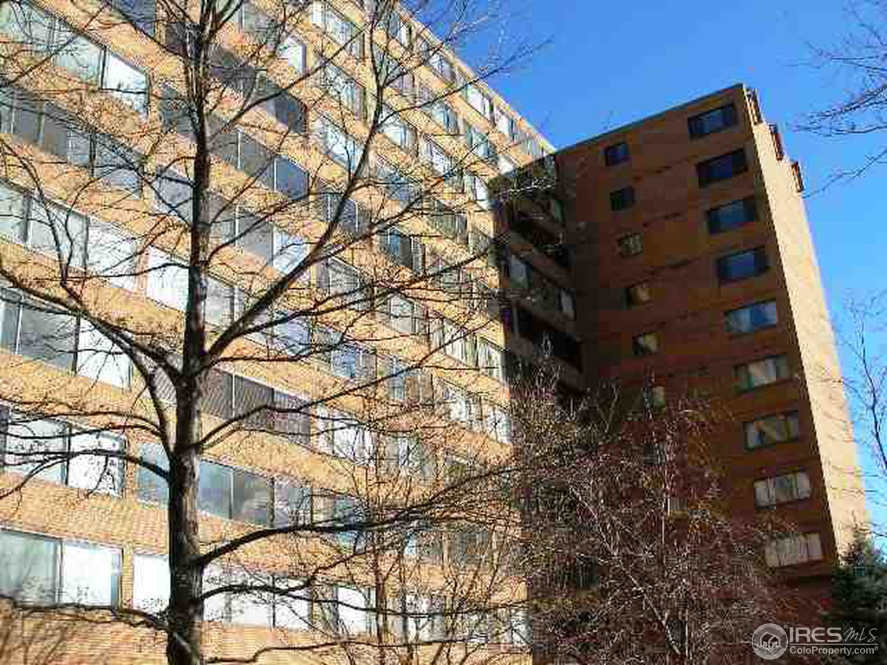 front view of a house with a trees