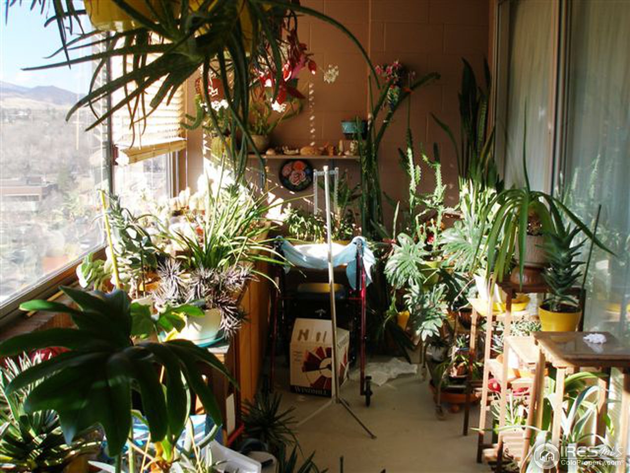 1850 Folsom Street, Unit 1007 Boulder, CO 80302 - Photo 4 of 13 a view of street with sitting area