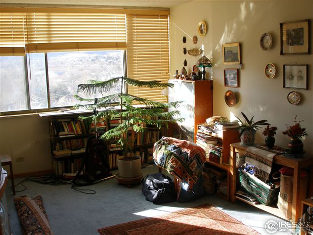 1850 Folsom Street, Unit 1007 Boulder, CO 80302 - Photo 5 of 13 a room with gym equipment and a large window