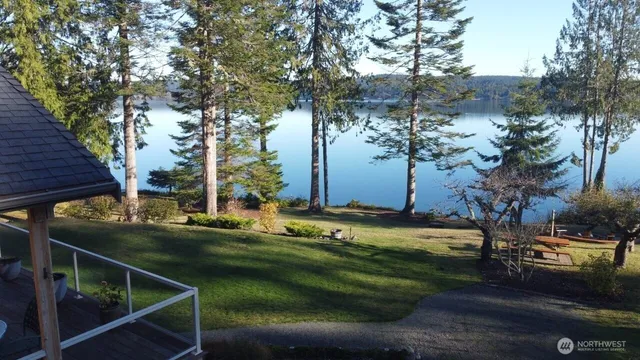 a view of a backyard with large trees