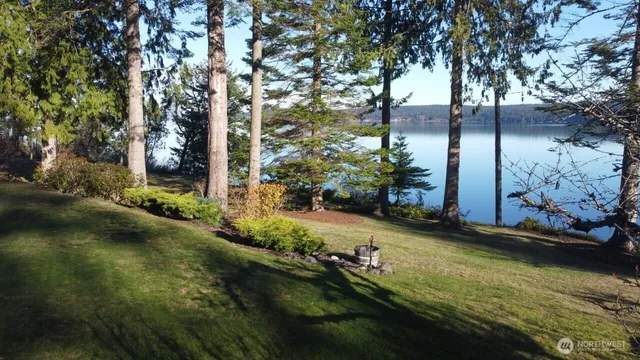 a view of a backyard