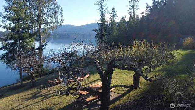a view of a backyard of a house