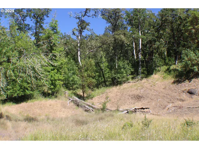 $115,000 | 0 Sierra Drive, Roseburg, OR 97471