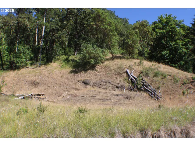 a view of a dry yard with trees