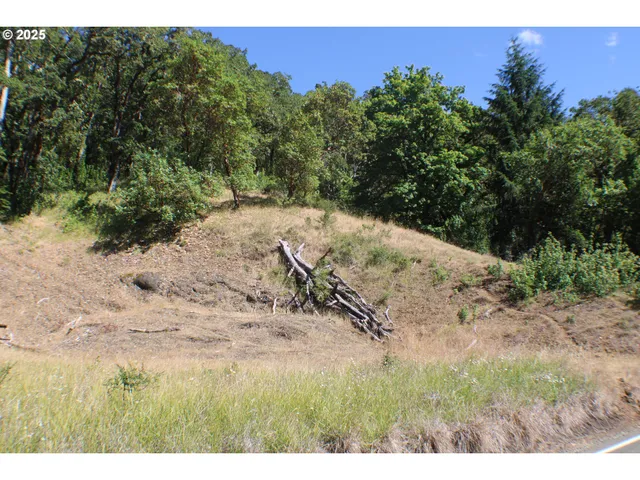 a view of a yard with a tree