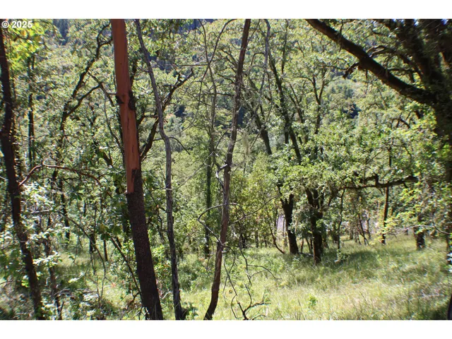 a view of outdoor space and a yard