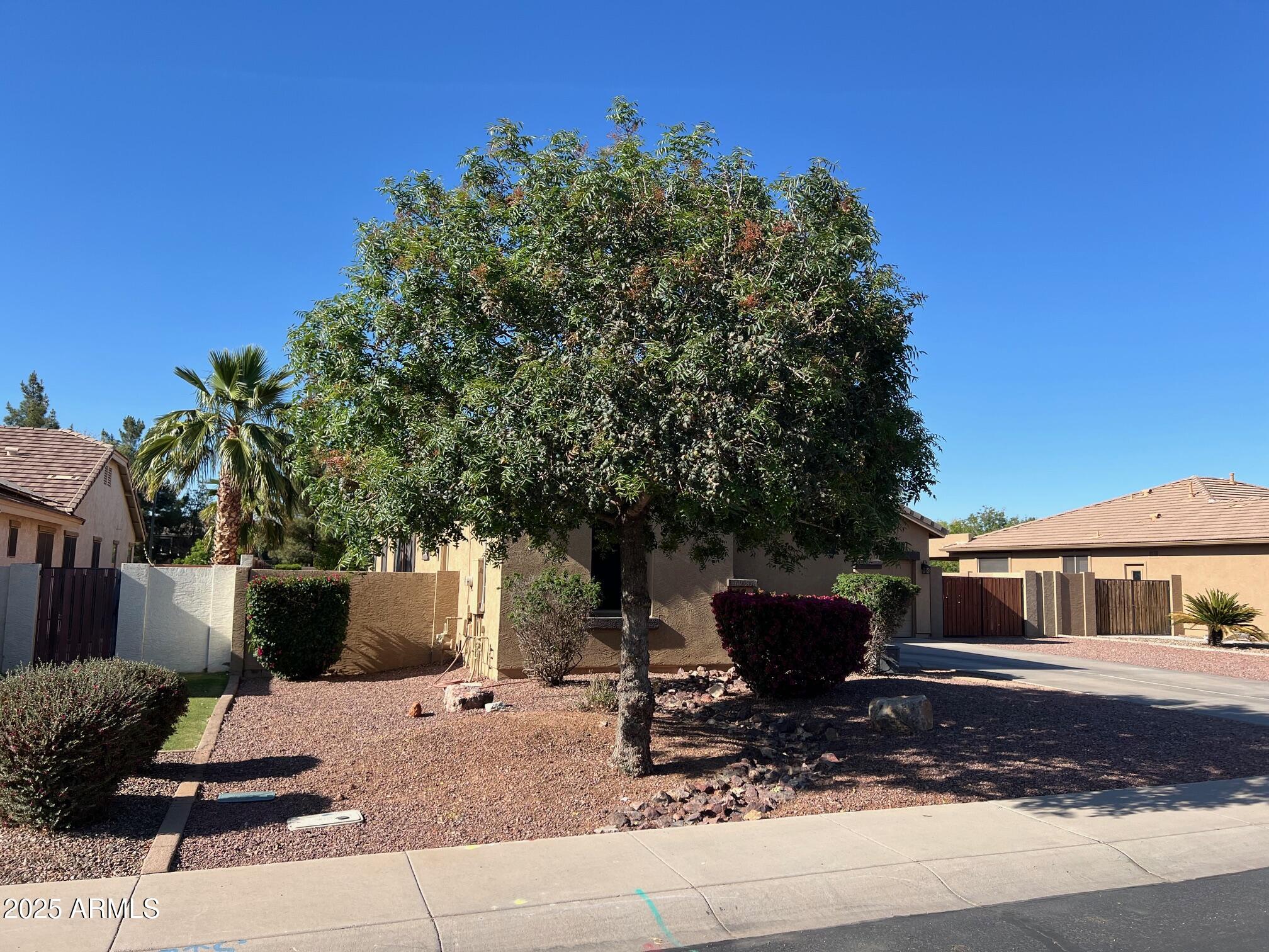 4130 East Megan Street Gilbert, AZ 85295 - Photo 40 of 43 4