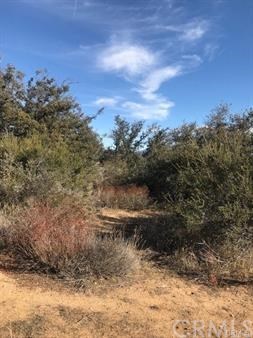 0 Harvey Hills Road Anza, CA 92539 - Photo 1 of 7