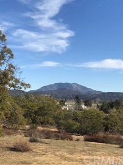 0 Harvey Hills Road Anza, CA 92539 - Photo 2 of 7