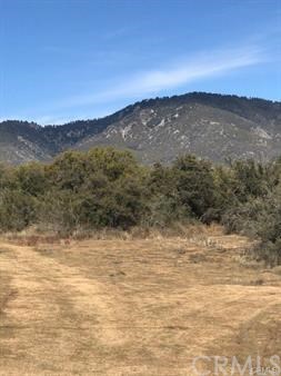 0 Harvey Hills Road Anza, CA 92539 - Photo 4 of 7