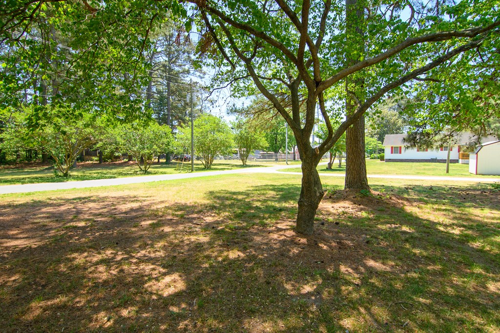 24432 Maxwell Street Parksley, VA 23421 - Photo 39 of 39 a view of a yard with a trees