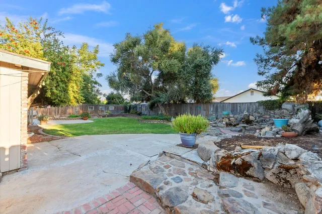 a view of a garden with a bench and some trees
