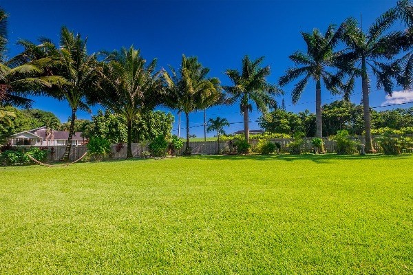 418 Puuopae Road, Unit A Kapaa, HI 96746 - Photo 8 of 25 a view of an outdoor space and yard