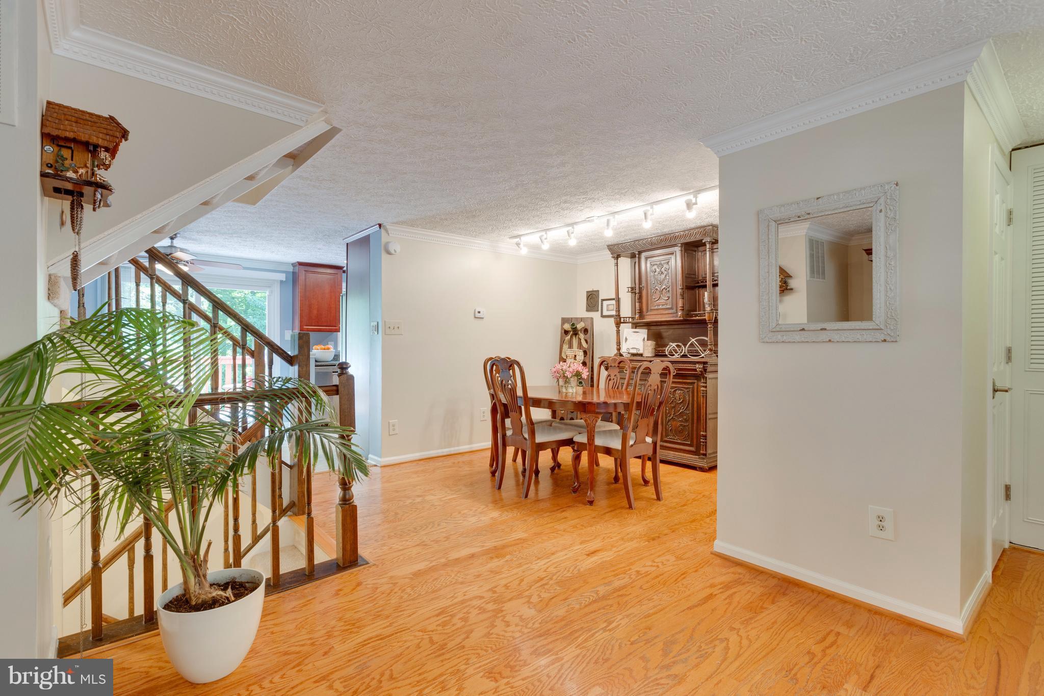 6571 Forest Dew Court Springfield, VA 22152 - Photo 3 of 20 a dining room with furniture and a potted plant