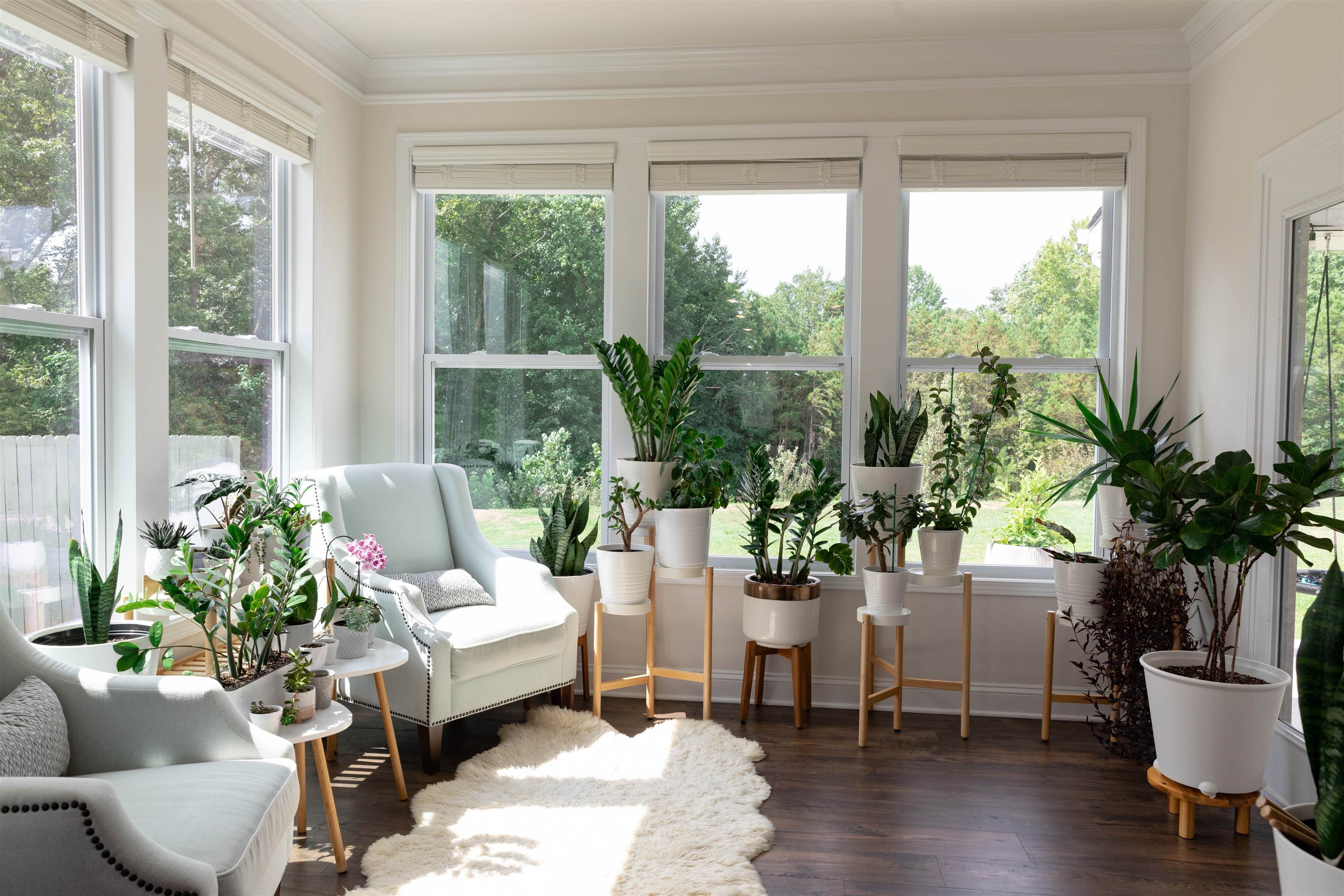 703 Fern Hollow Trail Anderson, SC 29621 - Photo 25 of 43