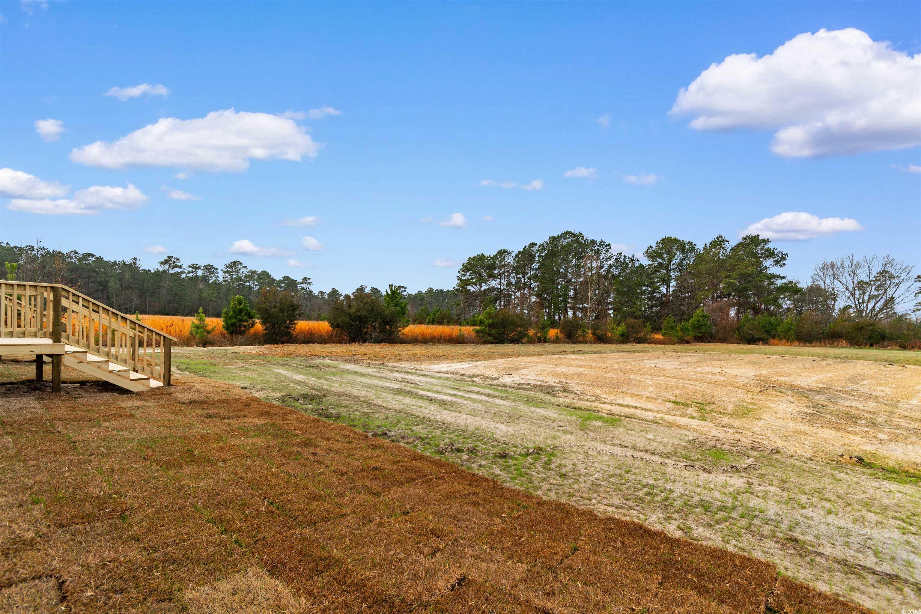 6613 Strickland Road Green Sea, SC 29545 - Photo 27 of 38 View of yard
