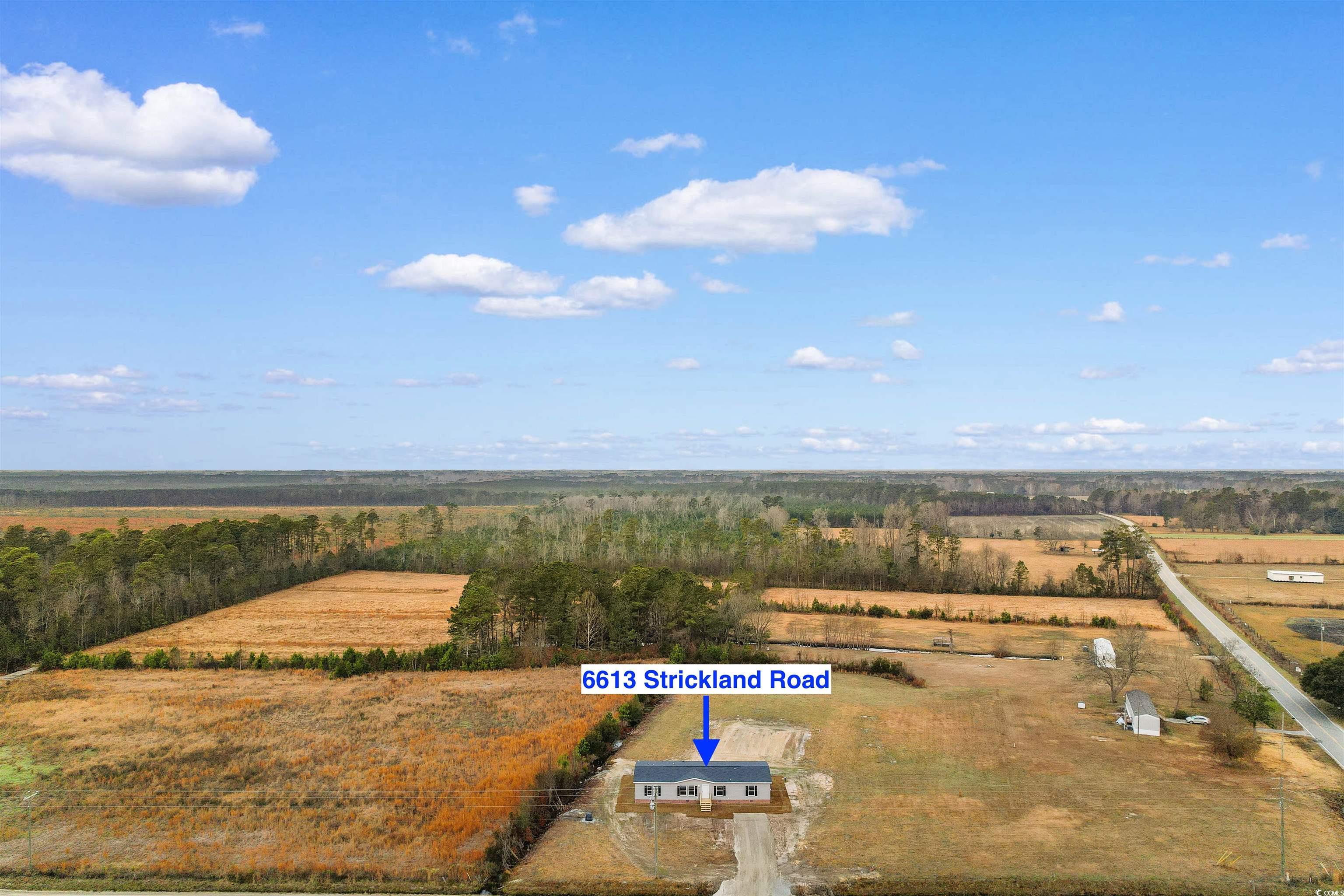 6613 Strickland Road Green Sea, SC 29545 - Photo 34 of 38 Aerial view of sparsely populated area featuring rows of crops