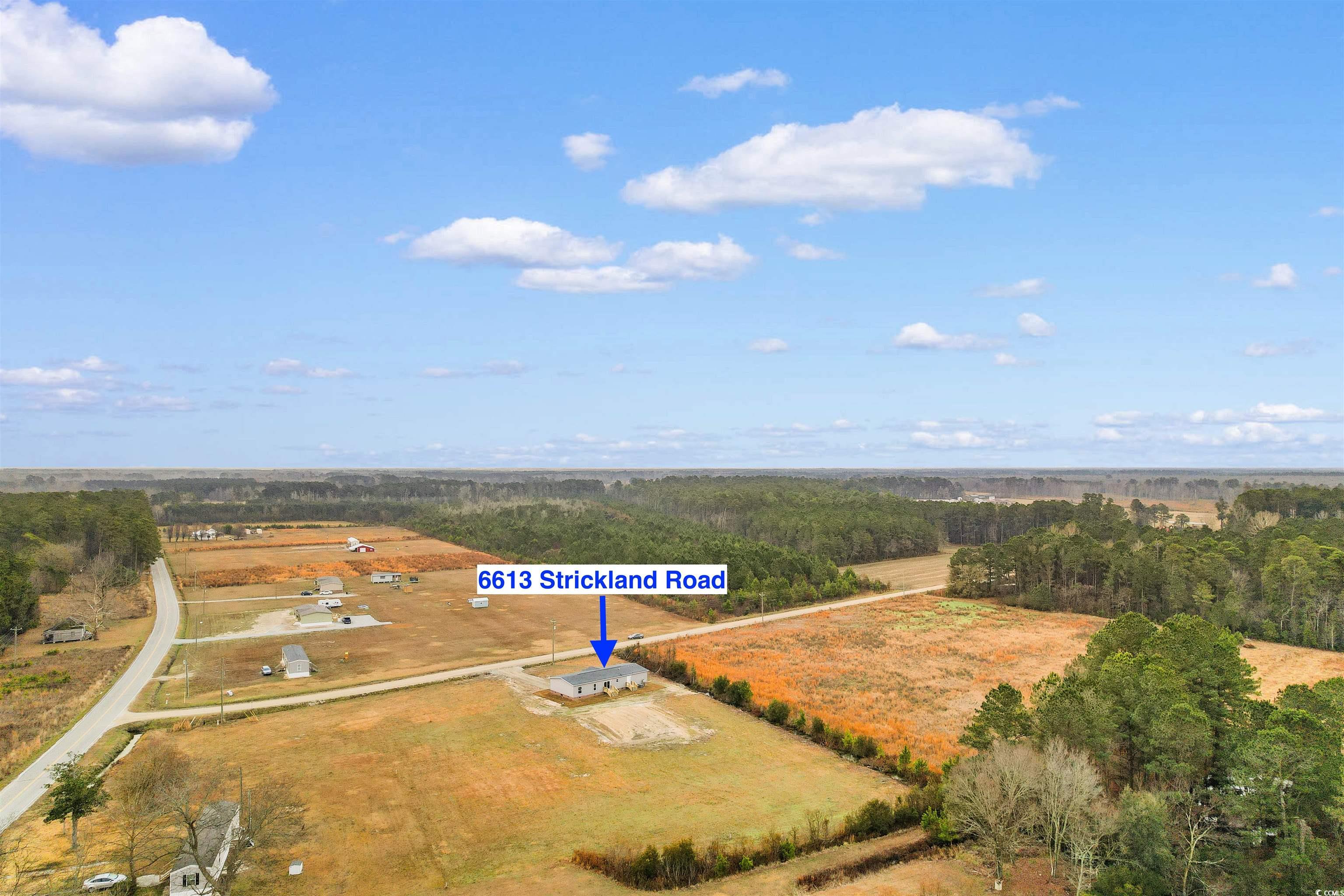 6613 Strickland Road Green Sea, SC 29545 - Photo 36 of 38 Aerial view of sparsely populated area