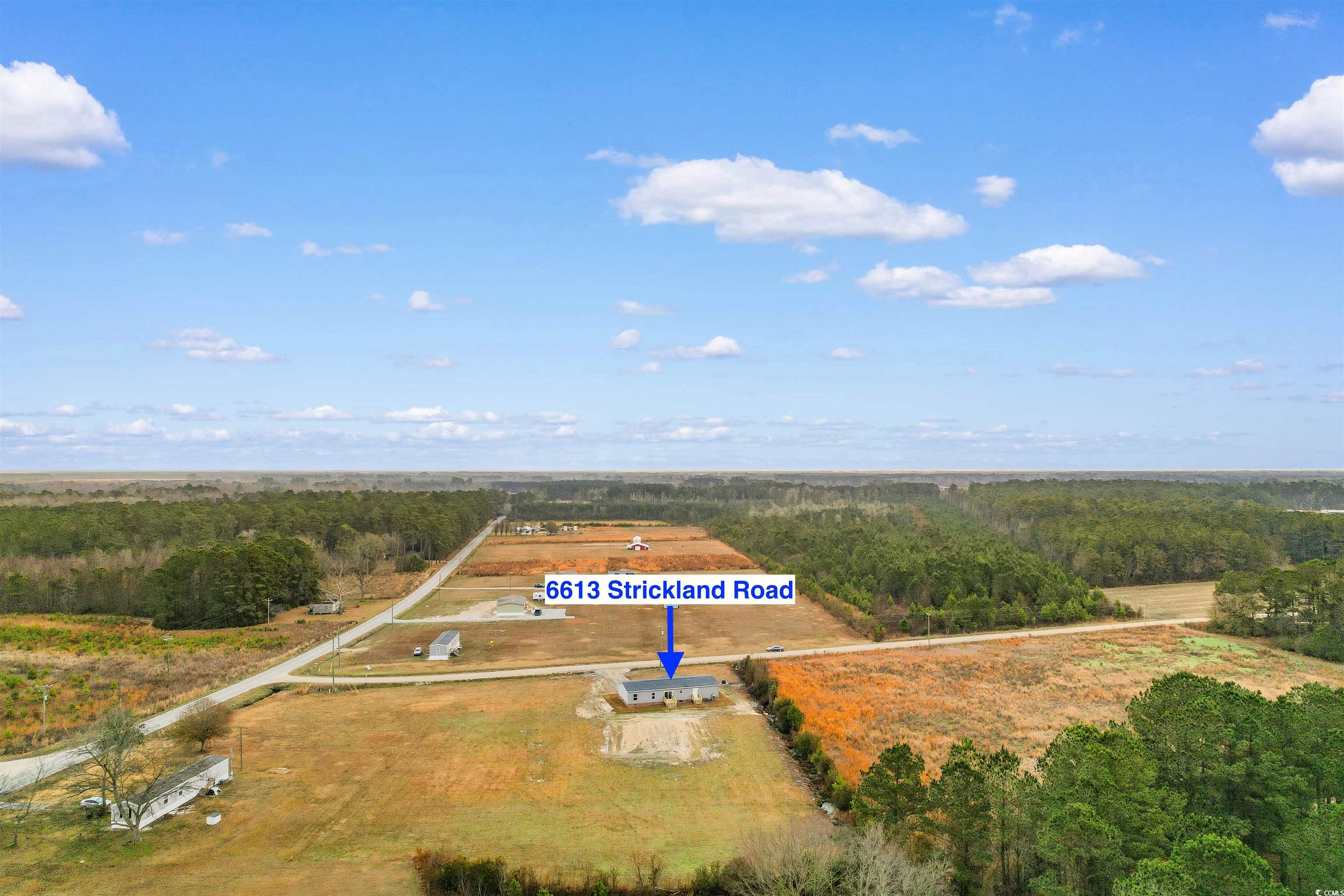 6613 Strickland Road Green Sea, SC 29545 - Photo 37 of 38 Bird's eye view