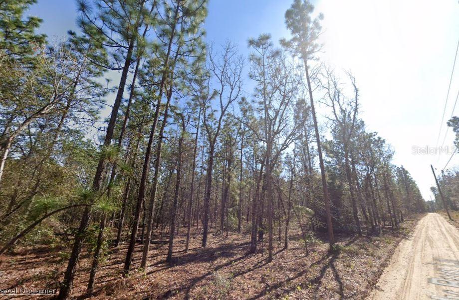 Hills Road Melrose, FL 32666 - Photo 1 of 5 a view of mountain with trees in the background