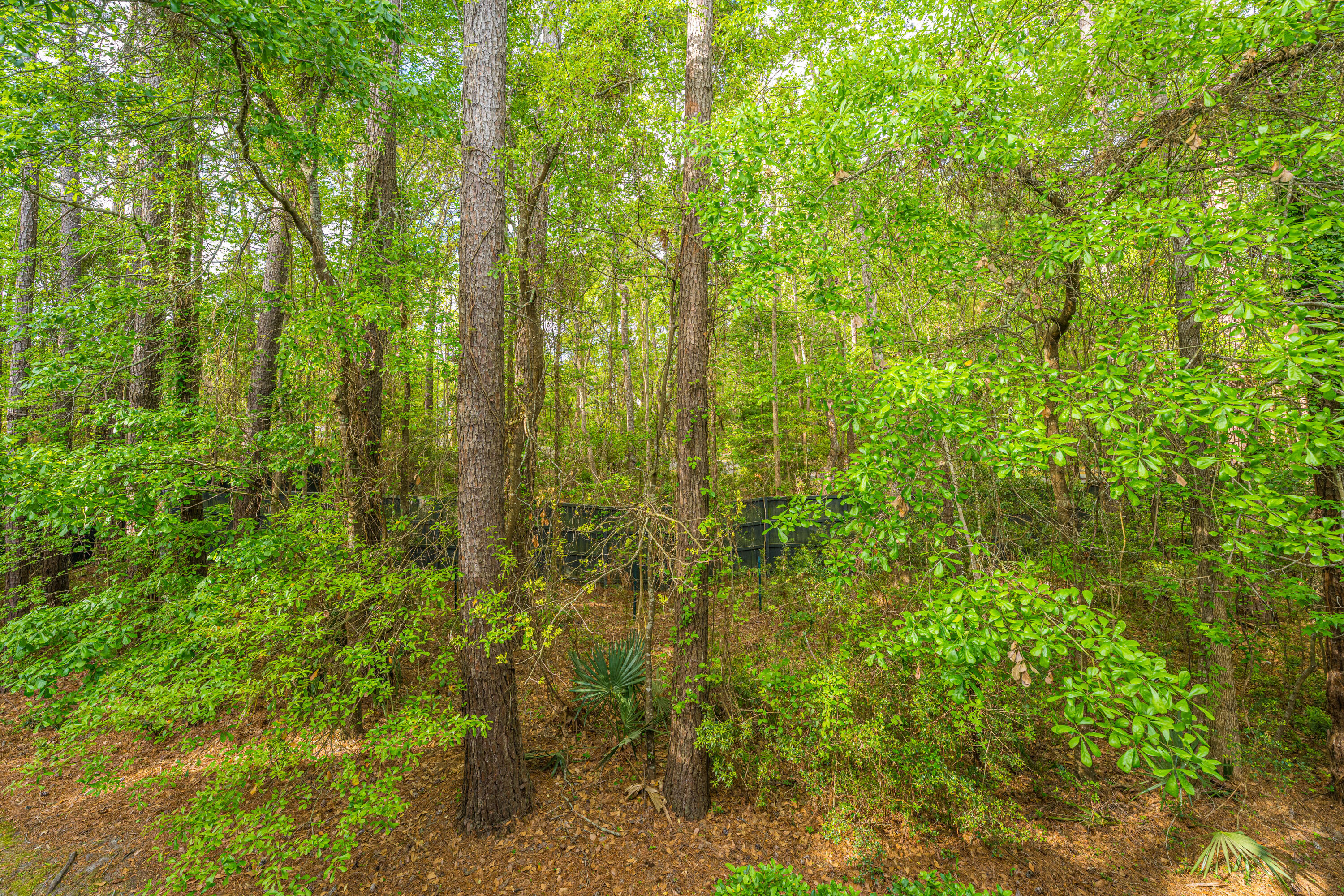264 Fair Sailing Road, Unit 42 Mount Pleasant, SC 29466 - Photo 23 of 43