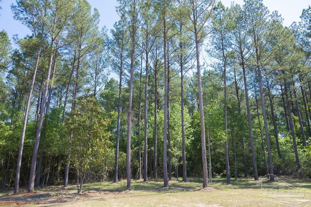 8030 Gin Road Pace, FL 32571 - Photo 12 of 50