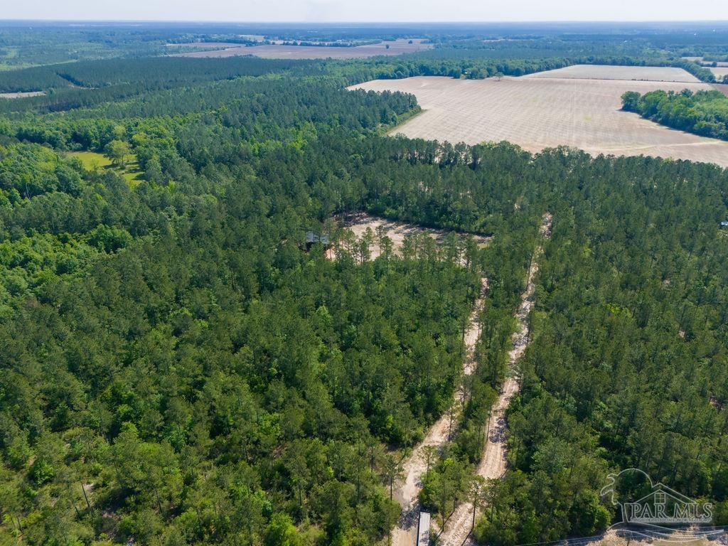 8030 Gin Road Pace, FL 32571 - Photo 14 of 50