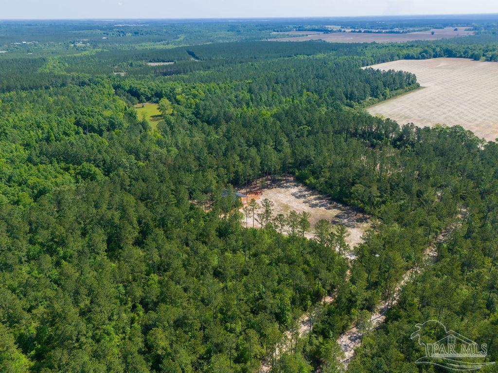 8030 Gin Road Pace, FL 32571 - Photo 15 of 50