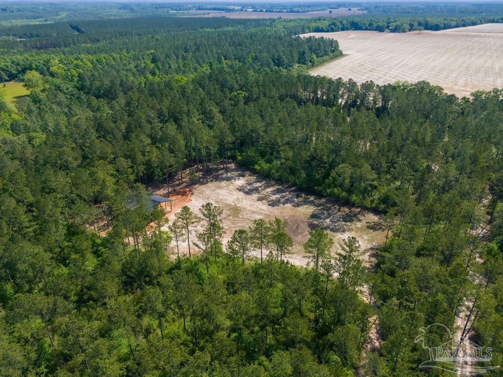 8030 Gin Road Pace, FL 32571 - Photo 19 of 50