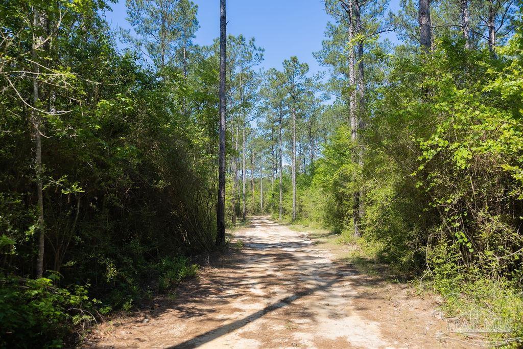 8030 Gin Road Pace, FL 32571 - Photo 24 of 50