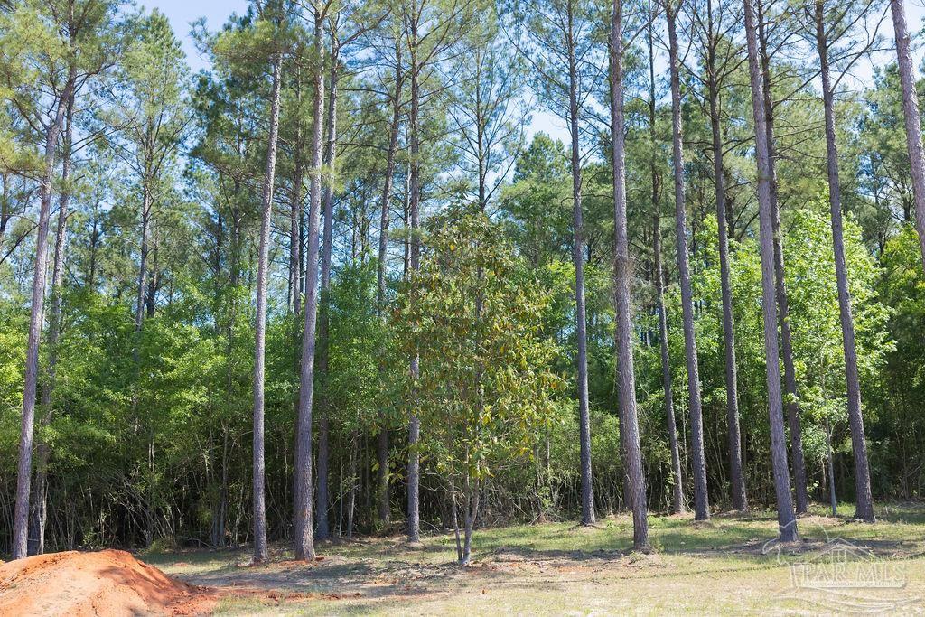 8030 Gin Road Pace, FL 32571 - Photo 30 of 50