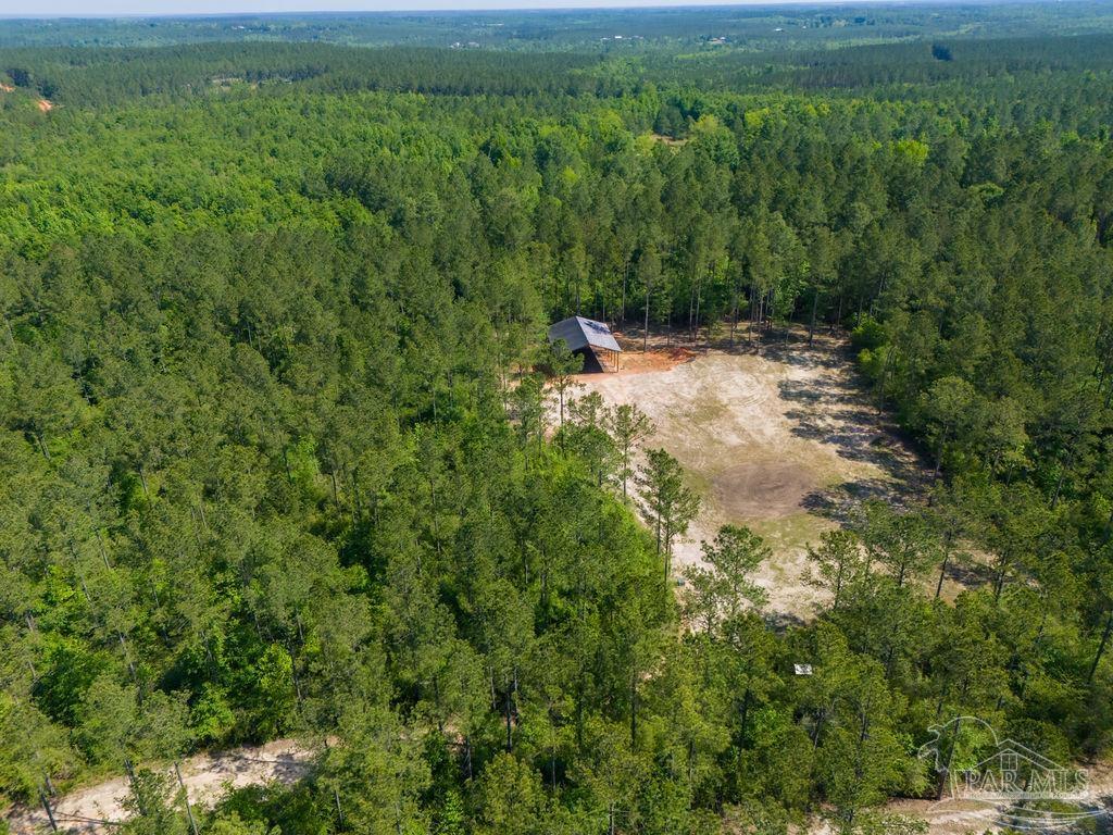 8030 Gin Road Pace, FL 32571 - Photo 3 of 50