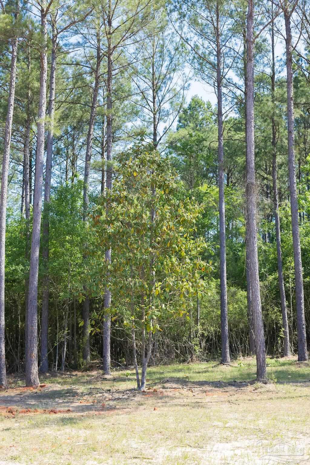 8030 Gin Road Pace, FL 32571 - Photo 35 of 50