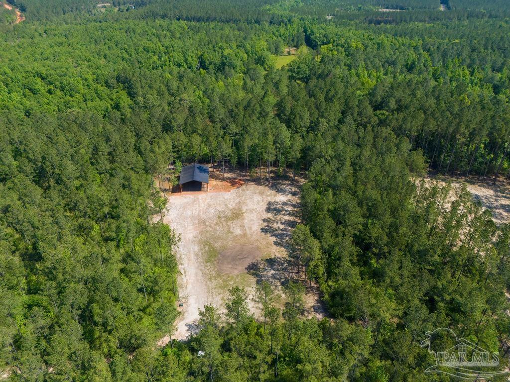 8030 Gin Road Pace, FL 32571 - Photo 4 of 50