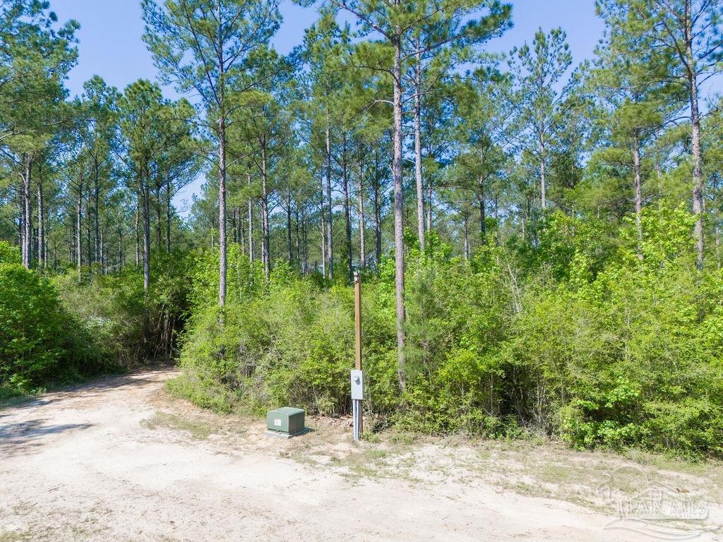 8030 Gin Road Pace, FL 32571 - Photo 42 of 50