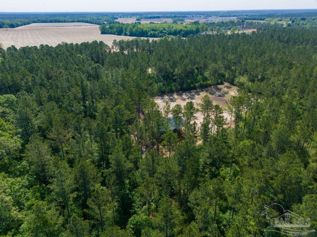 8030 Gin Road Pace, FL 32571 - Photo 43 of 50