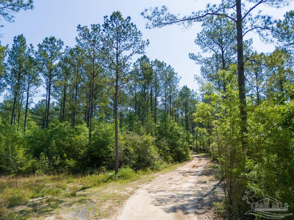 8030 Gin Road Pace, FL 32571 - Photo 49 of 50