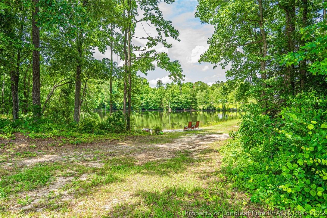 491 Stage Road Carthage, NC 28327 - Photo 41 of 47 a view of a yard with a tree