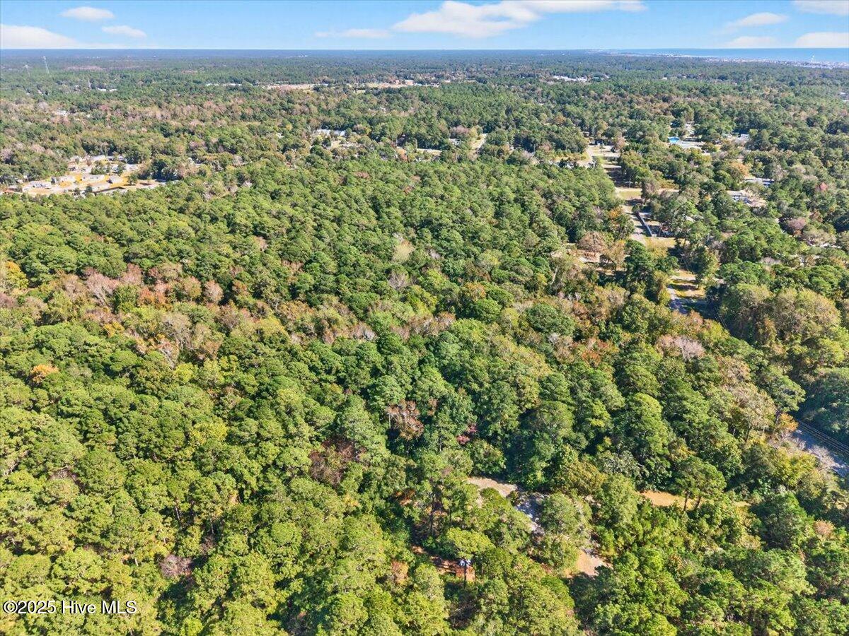 2340 Boones Neck Road Southwest Supply, NC 28462 - Photo 12 of 35 Both parcels are wooded and not developed.