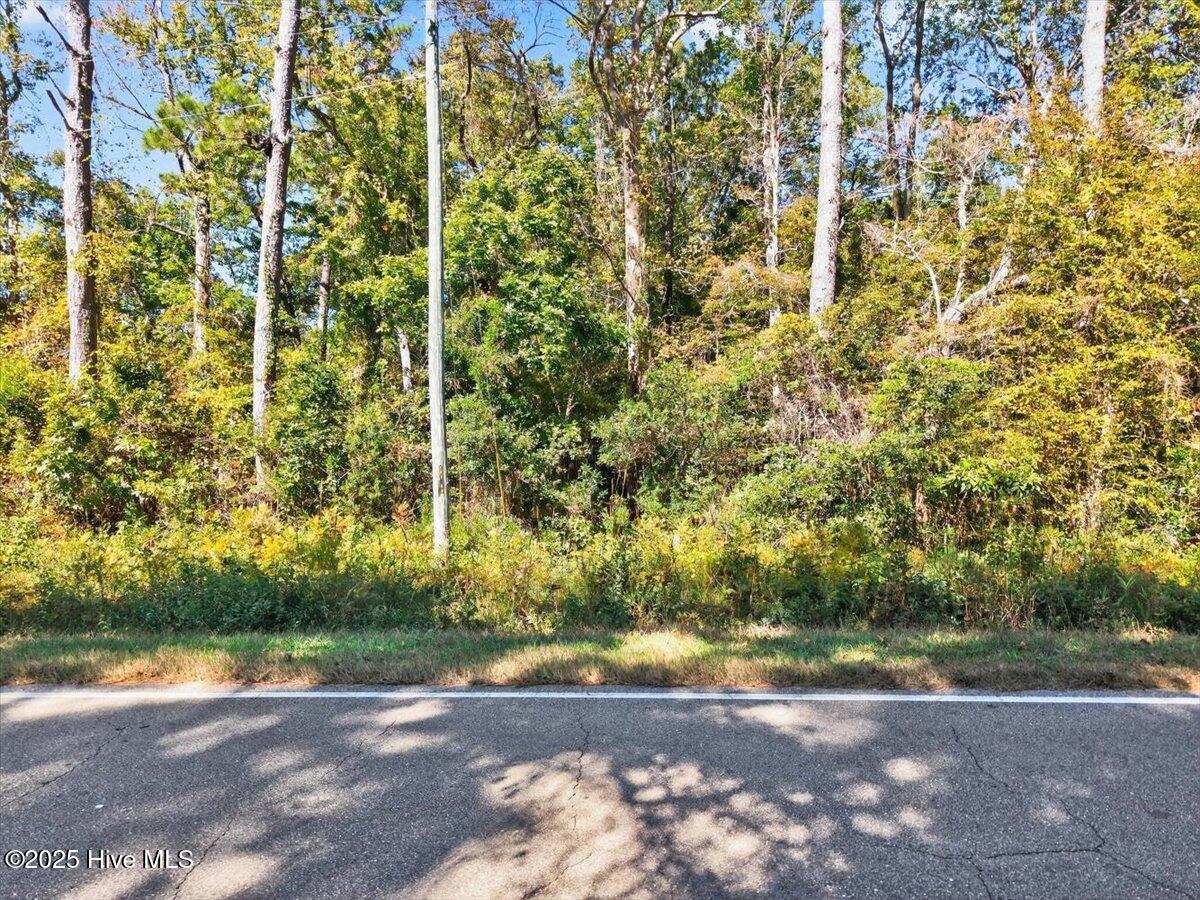 2340 Boones Neck Road Southwest Supply, NC 28462 - Photo 4 of 35 Paved road frontage and utility access make development on this wooded 49-acre site even more accessible.