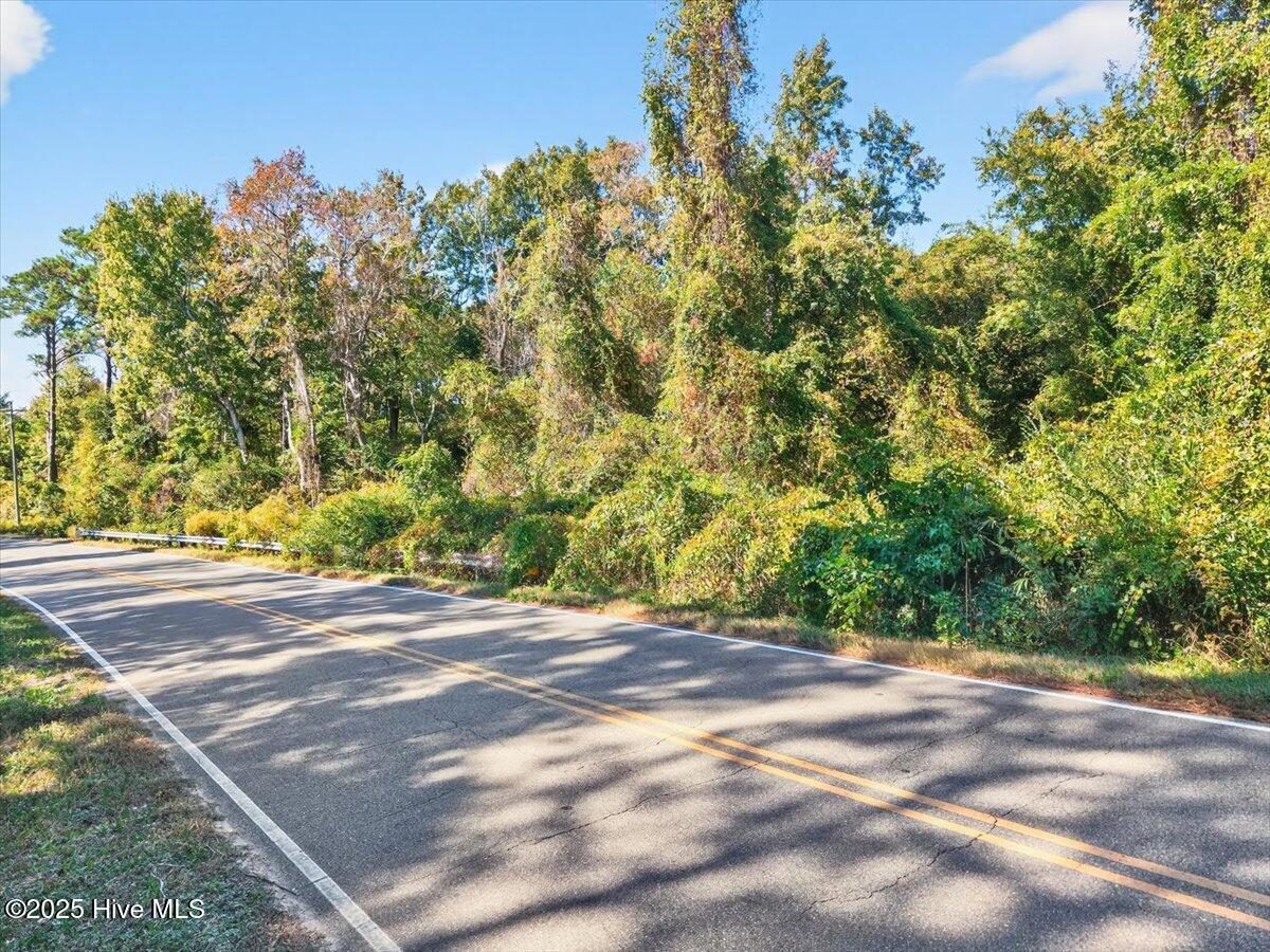 2340 Boones Neck Road Southwest Supply, NC 28462 - Photo 6 of 35 Acreage is heavily wooded with well-established timber.