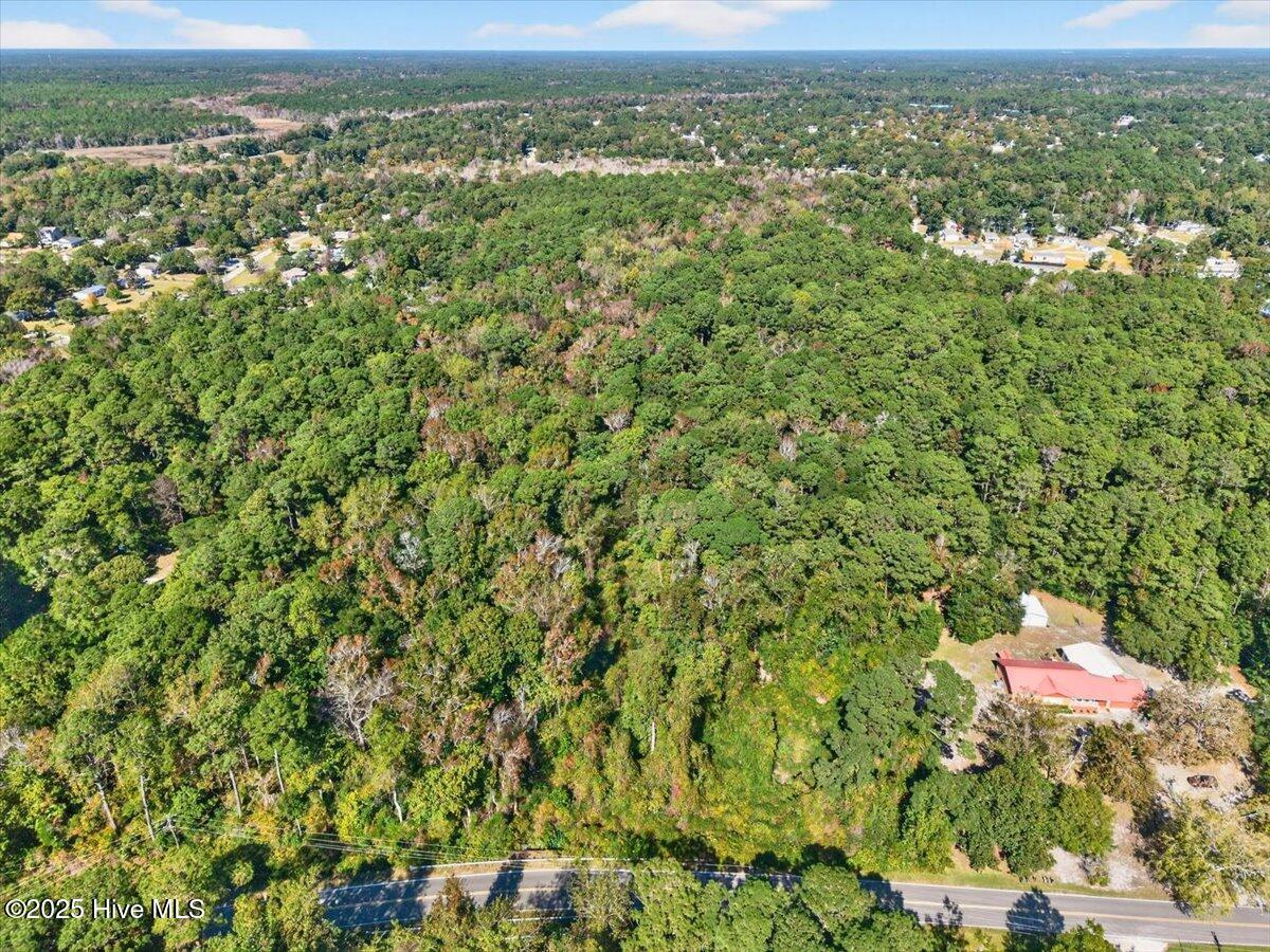 2340 Boones Neck Road Southwest Supply, NC 28462 - Photo 9 of 35 49+/- acres nestled just minutes from Holden Beach and local amenities.